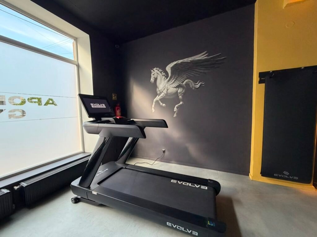 Projekto galerija